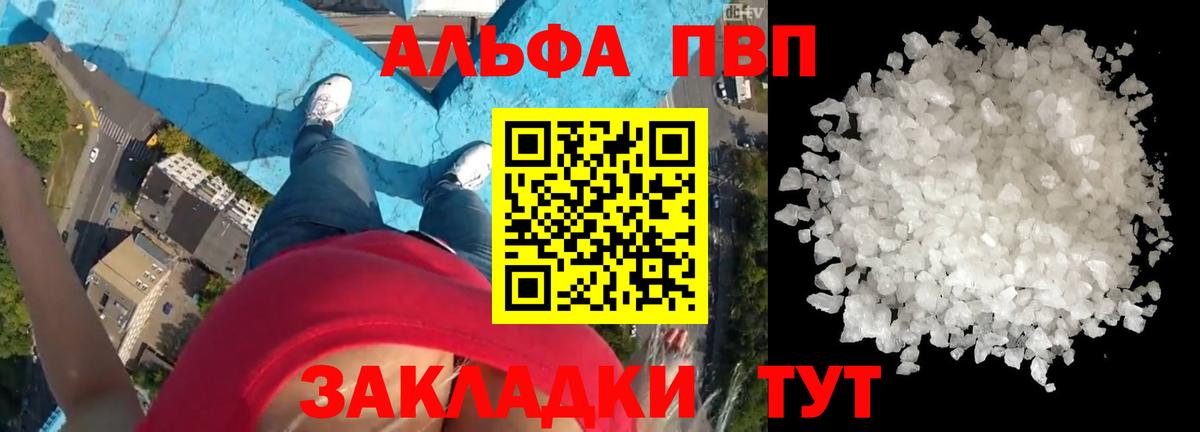A PVP СК Горно-Алтайск