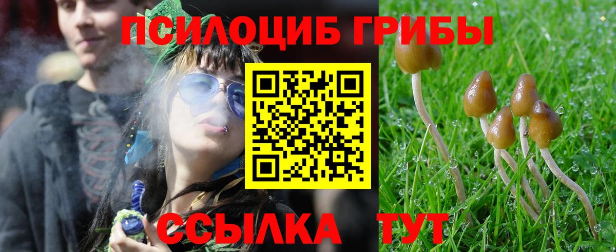 Горно-Алтайск  Галлюциногенные грибы прущие грибы  Вход с VPN  Псилоцибиновые грибы ЛСД 